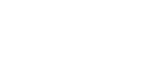 AYS Group (At Your Service)