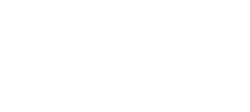 Levy Health