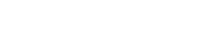 Site Vision Technical Works